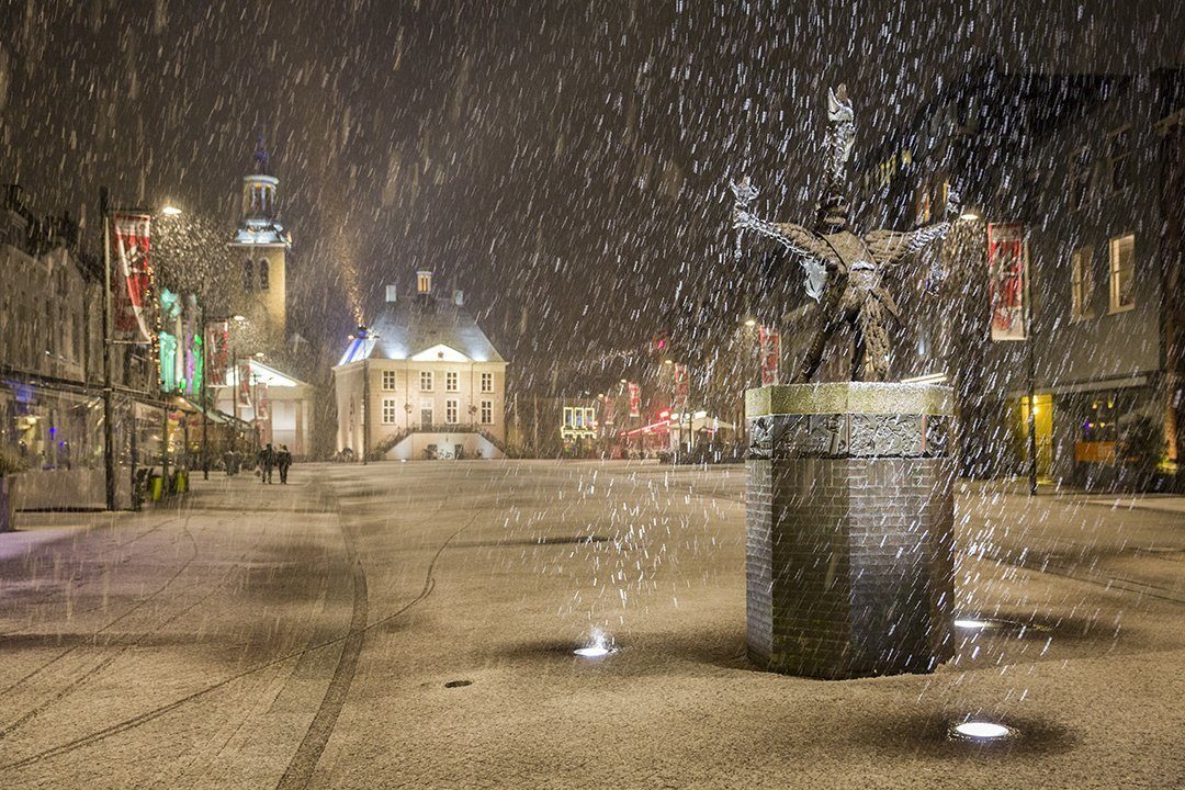 Tullepetaone in de sneeuw